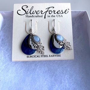 Blue and silver earrings new